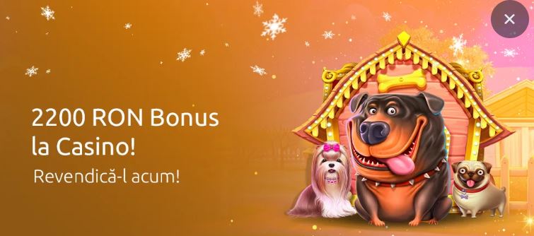 Revendică bonusul de bun venit de 2200 RON acum
